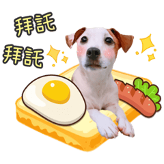 許樂樂跑跑跳跳