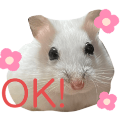 nanami_20220120232449