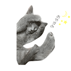 ash.ema_20220121005509