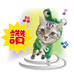 Evan&Ace貓咪貼圖