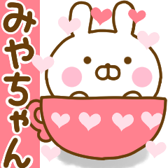Rabbit Usahina love miyachan