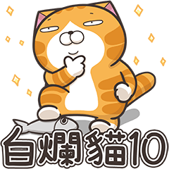 白爛貓10☆超級煩☆