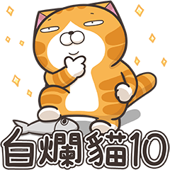 Lan Lan Cat 10