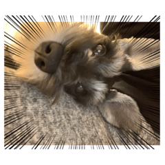 ryuki_20220121130947