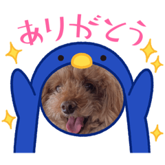 momokichikun