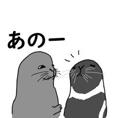 Seal For Daily use04