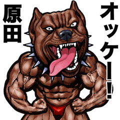 Harada dedicated Muscle macho animal