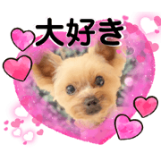 takepon_20220121205240