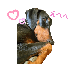 Michiko_20220121213957