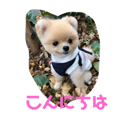 Grace_20220121222044