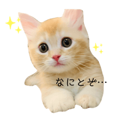 saya_20220122083900