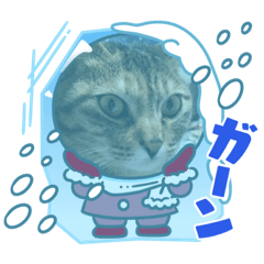 ネコさくら