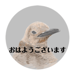Kamiariduki_20220121211101