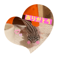 Linda_20220120160918