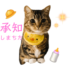 saya_20220121173219