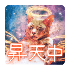 Mizuki_20220122122139