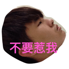 I Love Bobo