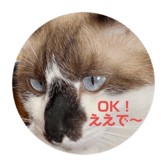 pikke 2