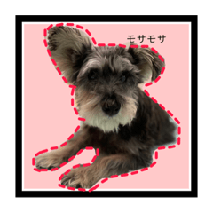 chisa_20220121222553