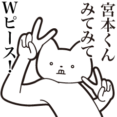 Miyamoto-kun [Send] Cat Sticker