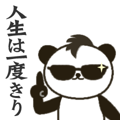 Panda Cool boy 2
