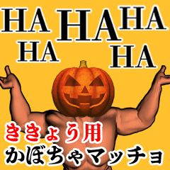 Kikyou Pumpkin macho