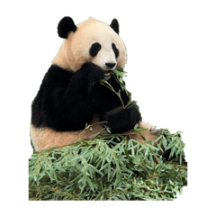 YAMADA_20220122011148