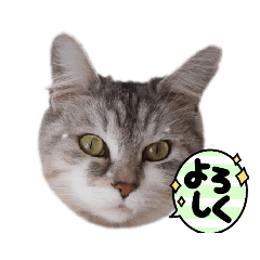 miko_20220122084232