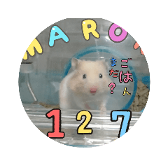 yuto_20220122093629