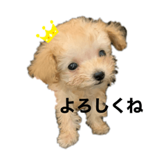 Miki_20220122100754