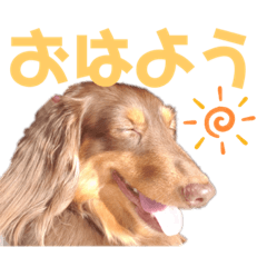 HANA_20220122151532