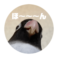 ai_20220122152518
