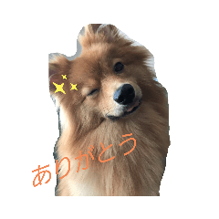 HANA_20220122151640