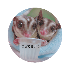 yuka_20220122204510