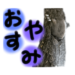 345_20220122231659