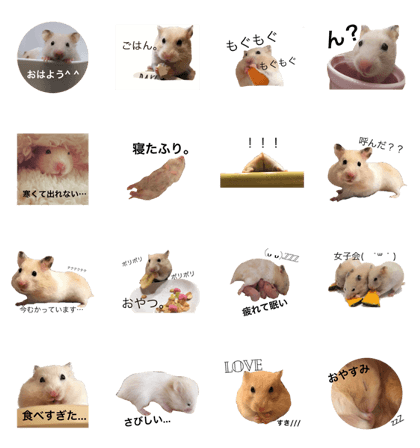 hamster^^
