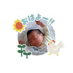 hikari_20220122175854