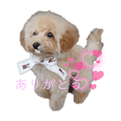 Yamada_20220122180451