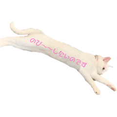 mizuki_20220122185000