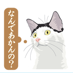 The cat which speaks old Oosaka accent