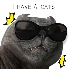 I have 4 cats