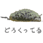Kuinanohaha_20220122211554