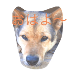 hana_20220122214922