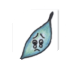tree leaf