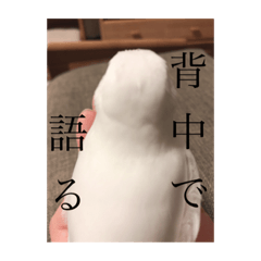 ima_20220122223957