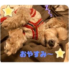 Arisa_20220122225808