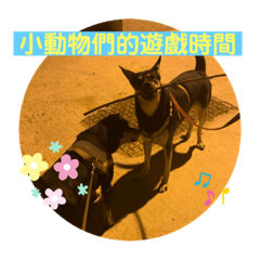 奇異果精靈&西瓜精靈大冒險