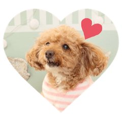 cherry_20220122232254