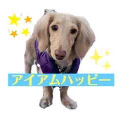 ai_20220123033517