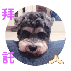 萬小K臭寶寶